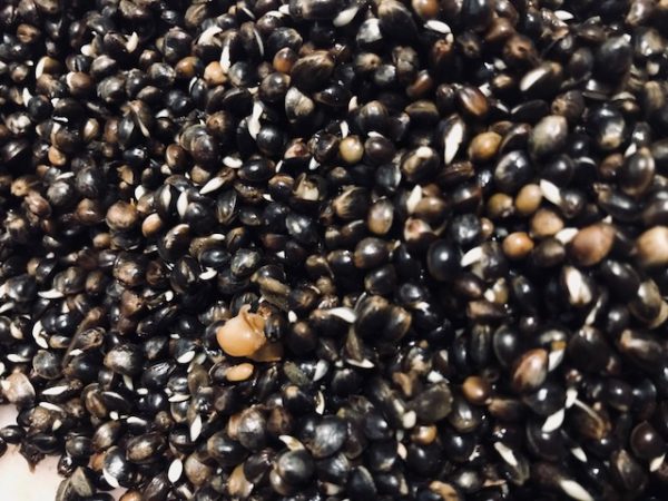 Chinese Hemp Seed (Prepared)