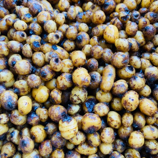 Tigernuts - Standard 8-12mm (Prepared)