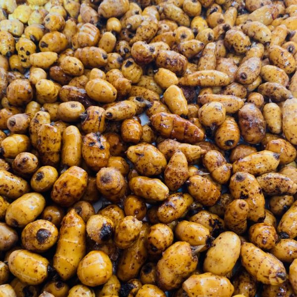 Tigernuts - XXL 10-25mm  (Prepared)