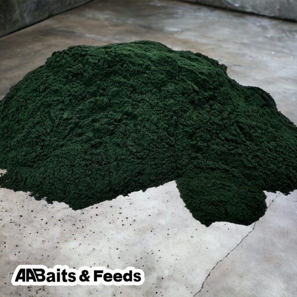 Spirulina