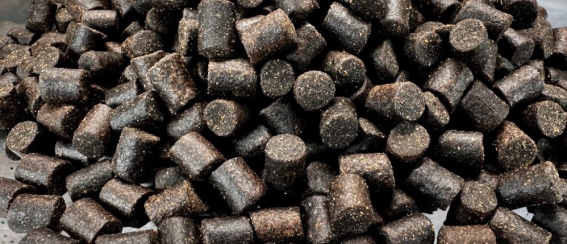 Halibut Pellets (Coppens)