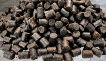 Halibut Pellets (Coppens)