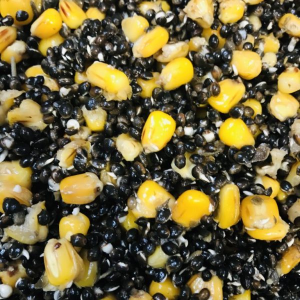 Hemp & Maize (Prepared)