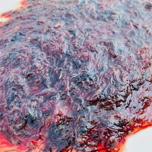Frozen Blood Worm