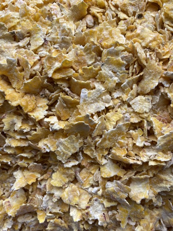 Flaked Maize