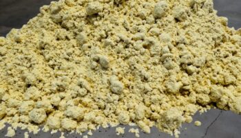 Soya Flour (Trusoy)