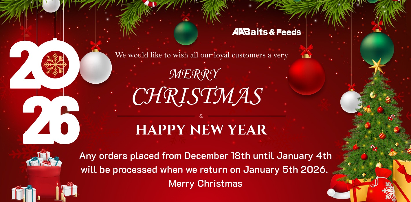 Merry christmas 2026 2 1