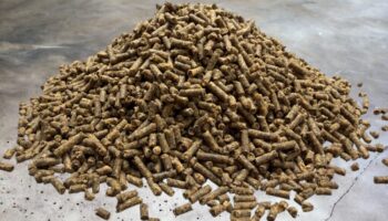 CSL Pellets